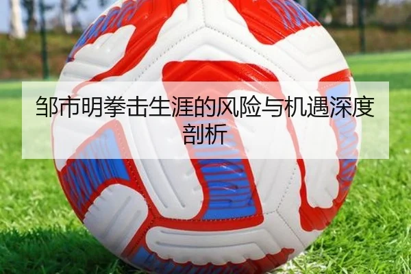 邹市明拳击生涯的风险与机遇深度剖析