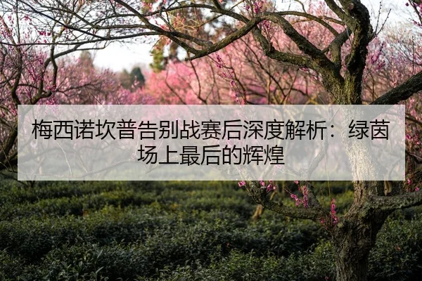 梅西诺坎普告别战赛后深度解析：绿茵场上最后的辉煌