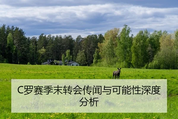 luo-sai-ji-mo-zhuan-hui-chuan-wen-yu-ke-neng-xing-shen-du-fen-xi-2-317.jpg