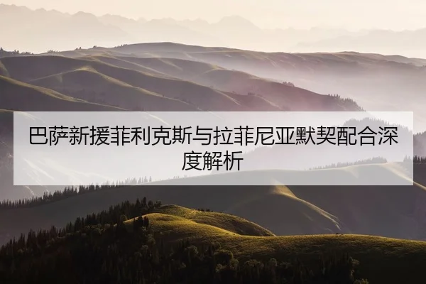 ba-sa-xin-yuan-fei-li-ke-si-yu-la-fei-ni-ya-mo-qi-pei-he-shen-du-jie-xi-2-855.jpg